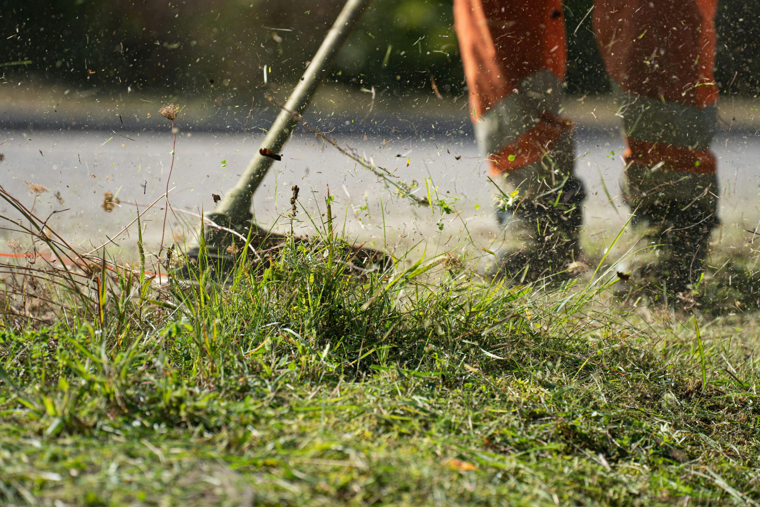Gartenbau_Rastatt_Heckenschnitt Gartenpflege in Rastatt – Rasen mähen und Hecke schneiden