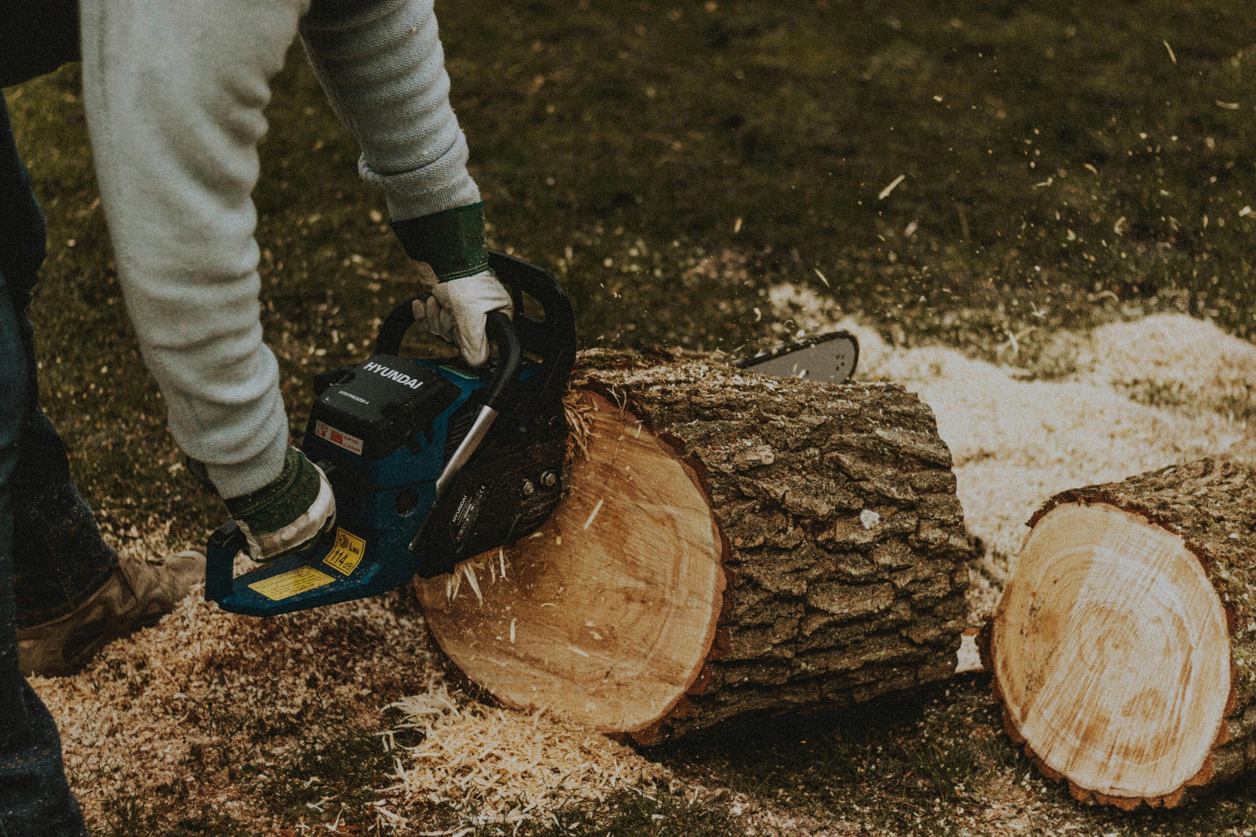 Gartenbau_Bühl_Baumfällung Gartenbau in Bühl – Baumfällung mit Motorsäge